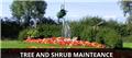 Photo of DandM Landscape Maintenance Inc
