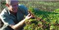 Photo of J & B Buffalo Turf Supplies Sydney