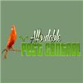 Affordable Pest Control logo