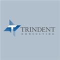 Trindent Management Consulting Inc. logo