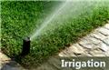 Photo of Texas Best Lawn and Landscaping/Irrigation