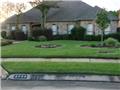 Photo of Texas Best Lawn and Landscaping/Irrigation