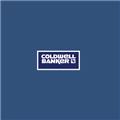 Wanda San Juan/Coldwell Banker Residential logo