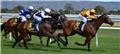 Photo of Hello Hawkesbury