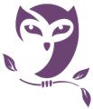 Owls Computer Services logo