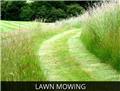 Photo of Par One Turf and Landscaping Inc