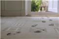Photo of Horizon Carpet Upholstery Tile and Grout Cleaning Service