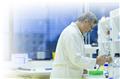 Photo of The Arthritis National Research Foundation