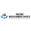 Raleigh Water Damage Experts logo