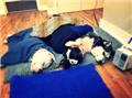Photo of South Eastern Animal Hospital