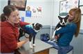 Photo of South Eastern Animal Hospital