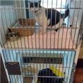 Photo of South Eastern Animal Hospital