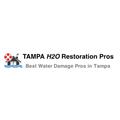 Tampa H2O Damage Pros logo