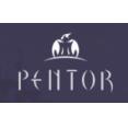 Pentor Finance logo