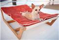 Photo of Dog Beds Canada - Small Large Designer Dog Beds