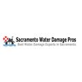 Sacramento Water Damage Pros logo
