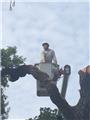 Photo of Econo Tree Service Inc
