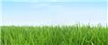 Photo of Enright Environmental Ltd.