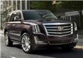 Photo of Vice City VIP Luxury and Exotic car rentals