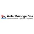 Escondido Water Damage Pros logo