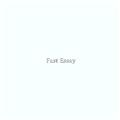 Fast Essay logo