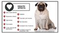 Photo of K9 Weight Challenge