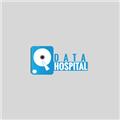 The Data Hospital logo