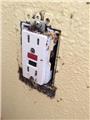 Photo of Banish Pest Control