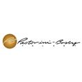 PB Talent logo