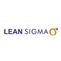 Lean Sigma logo