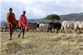 Photo of East African Exotic Safaris