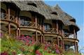 Photo of East African Exotic Safaris