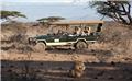 Photo of East African Exotic Safaris
