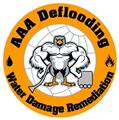 AAA Deflooding logo