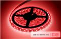Photo of Gstar Technology Co Ltd