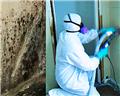Photo of Active Mold Control