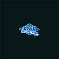 RCR Tours logo