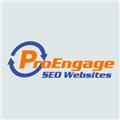 ProEngage SEO Websites LLC logo