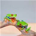 Photo of Creepy Crawlers
