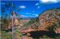 Photo of Bluey Travel