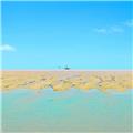Photo of Bluey Travel