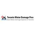 Toronto Water Damage Pros logo