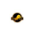 Extellior LLC logo