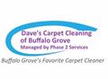 Dave's Carpet Cleaning of Buffalo Grove logo