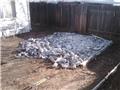 Photo of Rich's Hauling and Yard Clean-Up