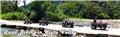 Photo of Borneo Eco Tours 
