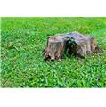 Photo of Go Green Tree and Landscape