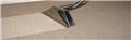 Photo of Magic Wand Carpet Cleaning and Pest Control