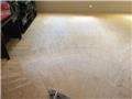 Photo of Magic Wand Carpet Cleaning and Pest Control