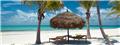 Photo of Mozambique Specials